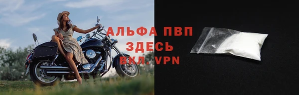 спайс Беломорск
