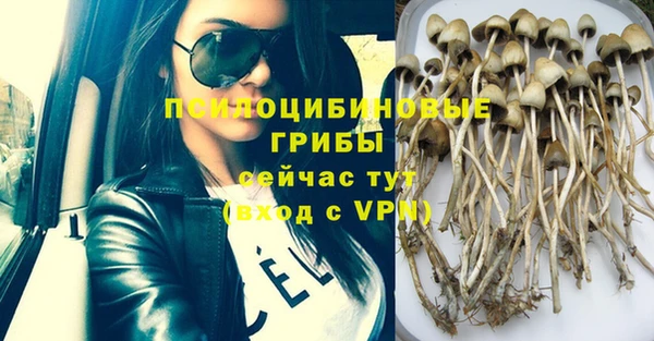 стаф Белокуриха