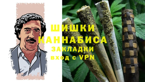 стаф Белокуриха