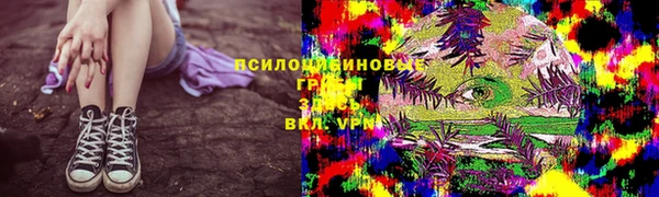 стафф Белоозёрский